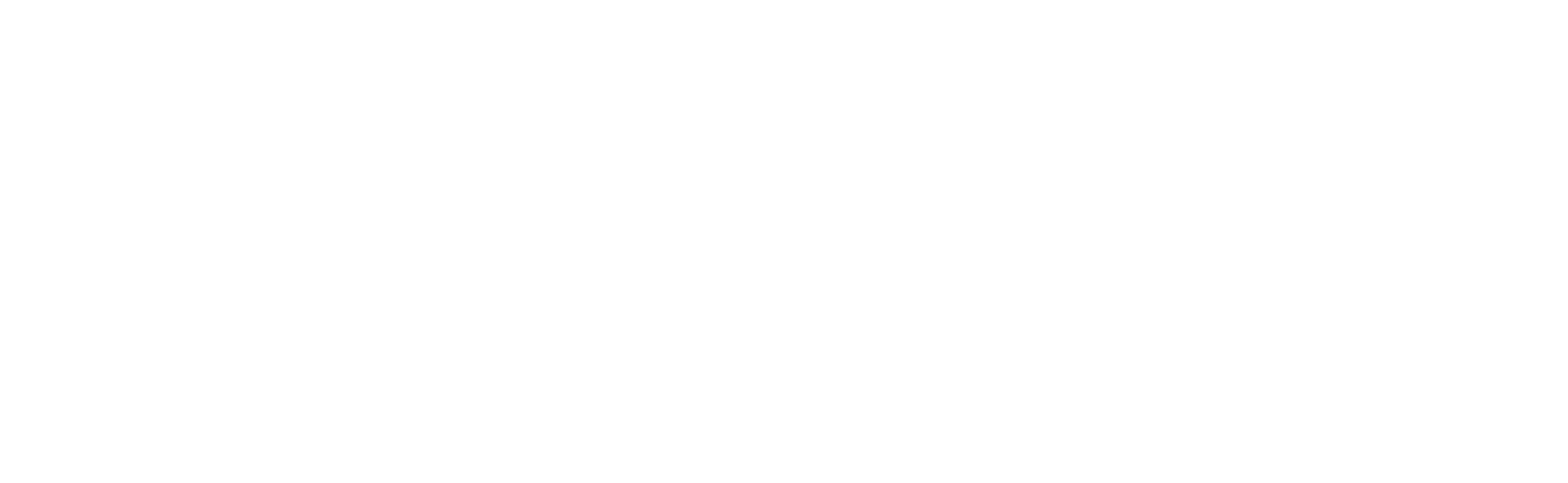 Logo BIDA